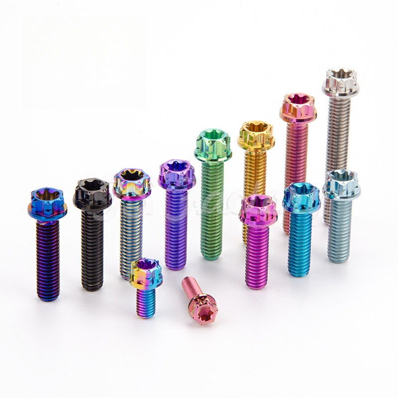 TS 10pcs Factory Gr5 Titanium Screw M5M6X810152025303540mm Motorcycle Mofication Screw