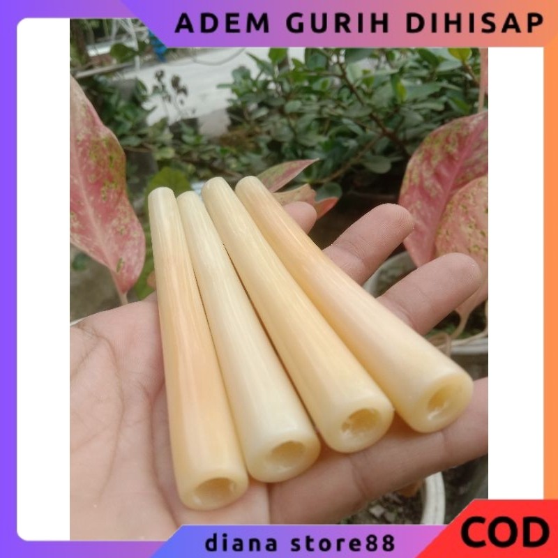 ONCE TULANG UNTA BULAT SUPER ADEM