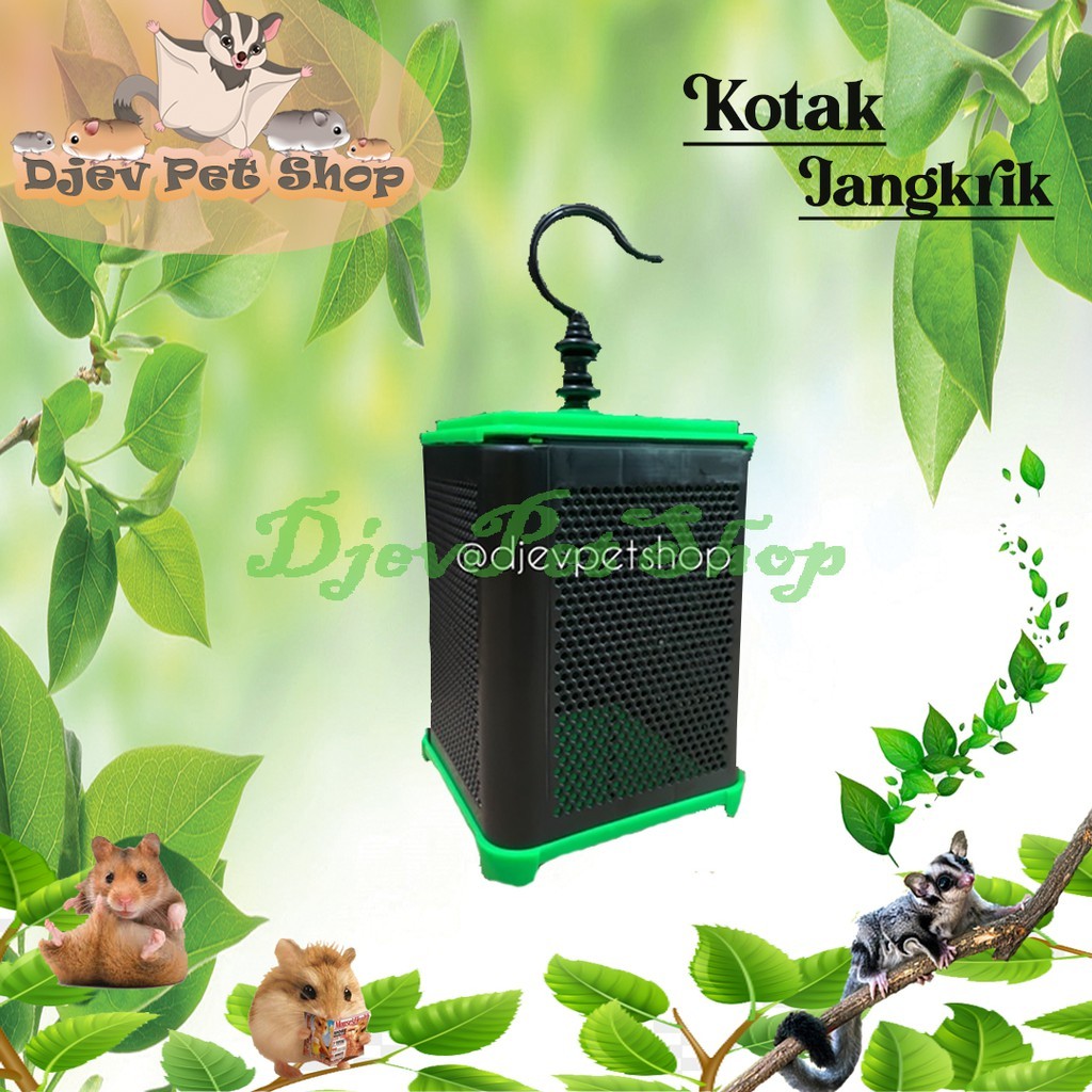 KOTAK JANGKRIK || KOTAK HEWAN || KOTAK PENGIRIMAN HEWAN
