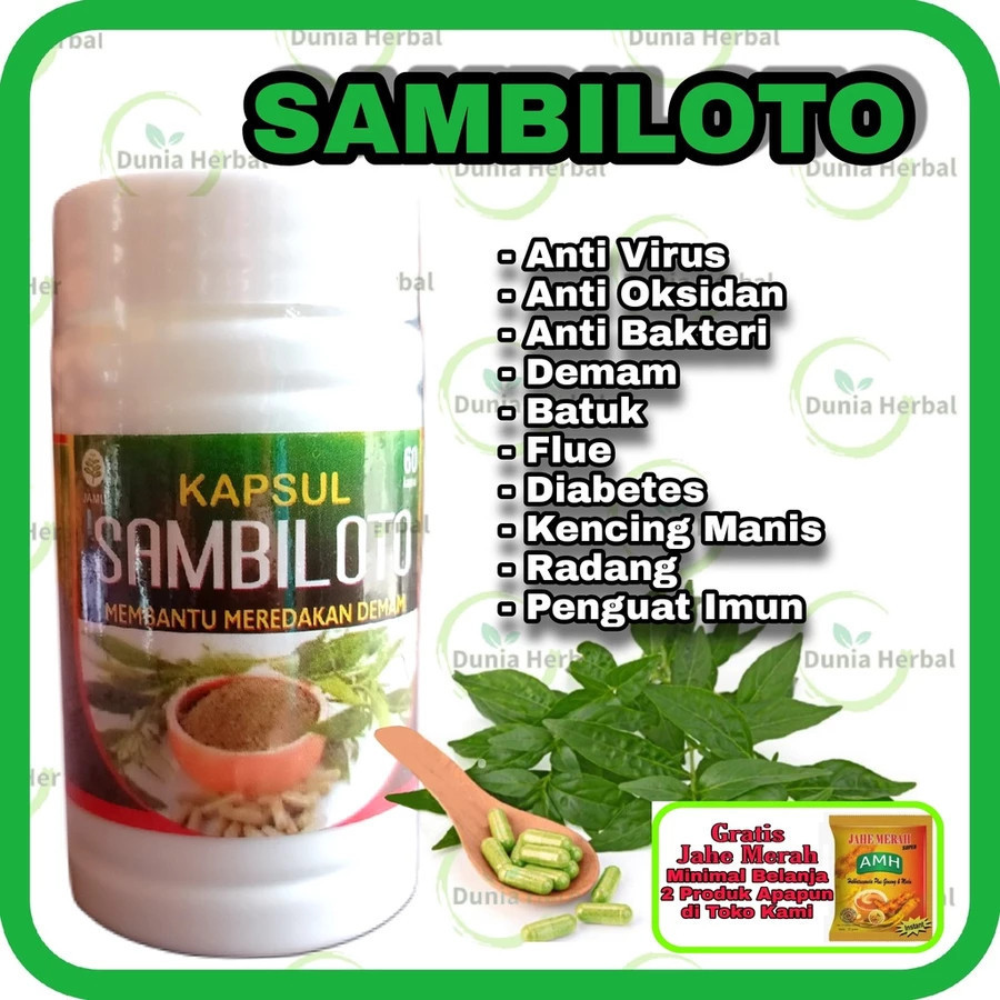 kapsul sambiloto 60 kapsul inayah membantu meredakan nyeri sendi  (28)