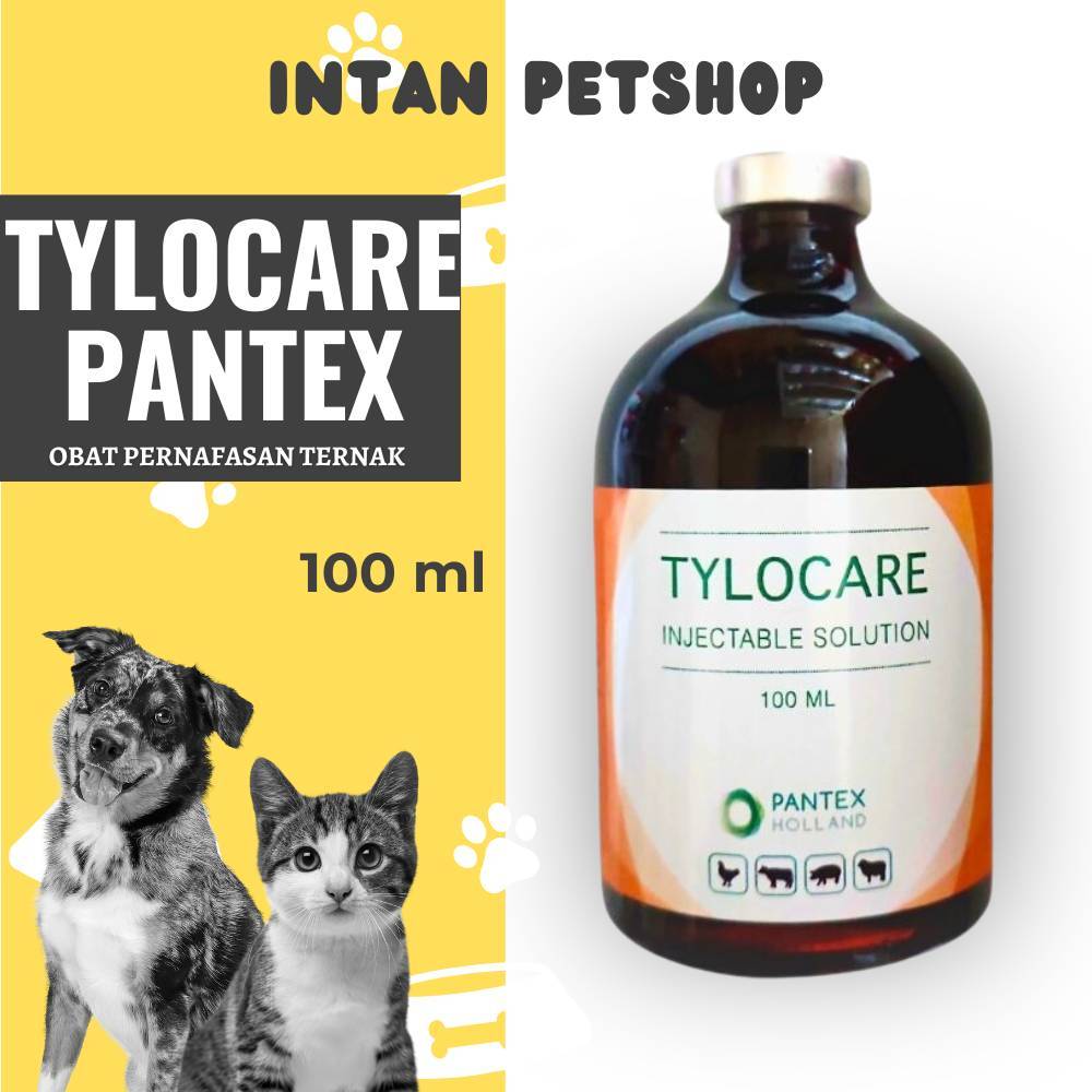 Tylocare Injeksi 100ml - Tylosin 200 mg - Untuk Hewan Sakit PNEUMONIA