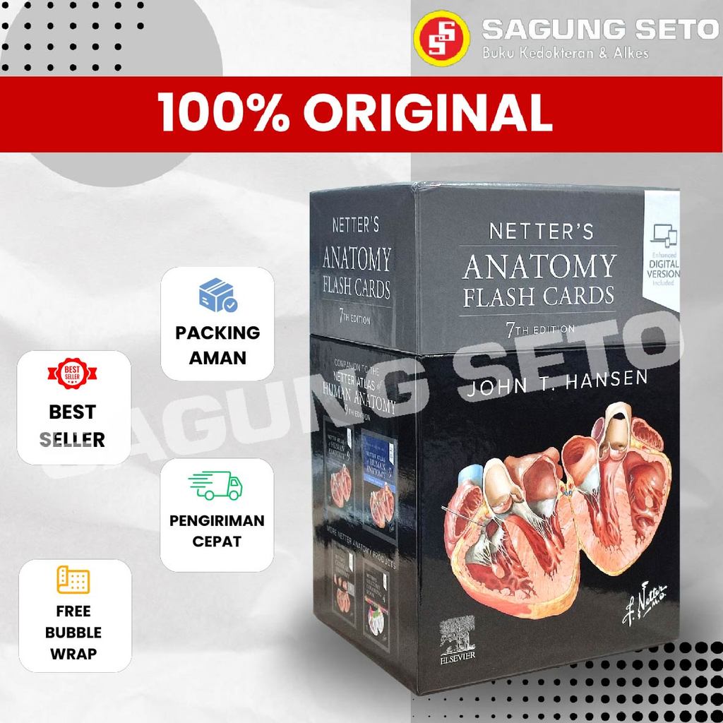 NETTERS ANATOMY FLASH CARD 7ED - JOHN T. HANSEN / NETTER ANATOMI