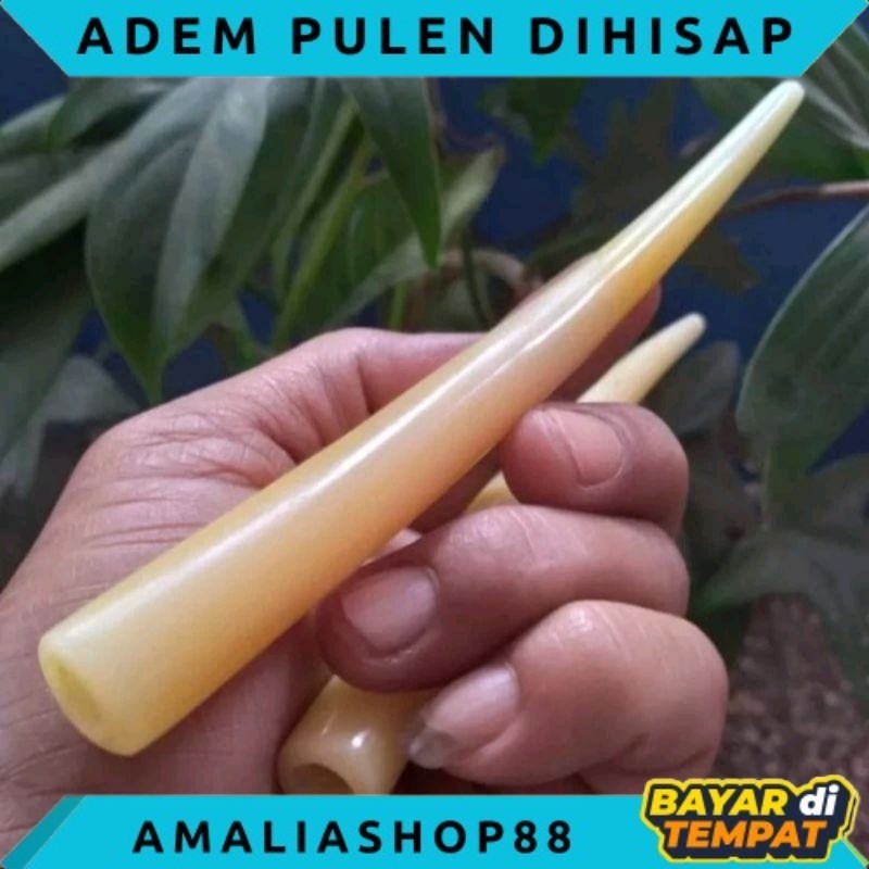 ONCE PIPA TULANG UNTA RASA PULEN ADEM