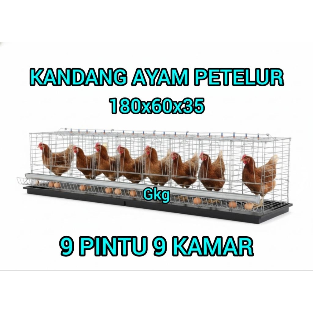 Kandang Ayam Petelur 9 Pintu Modern Efisien