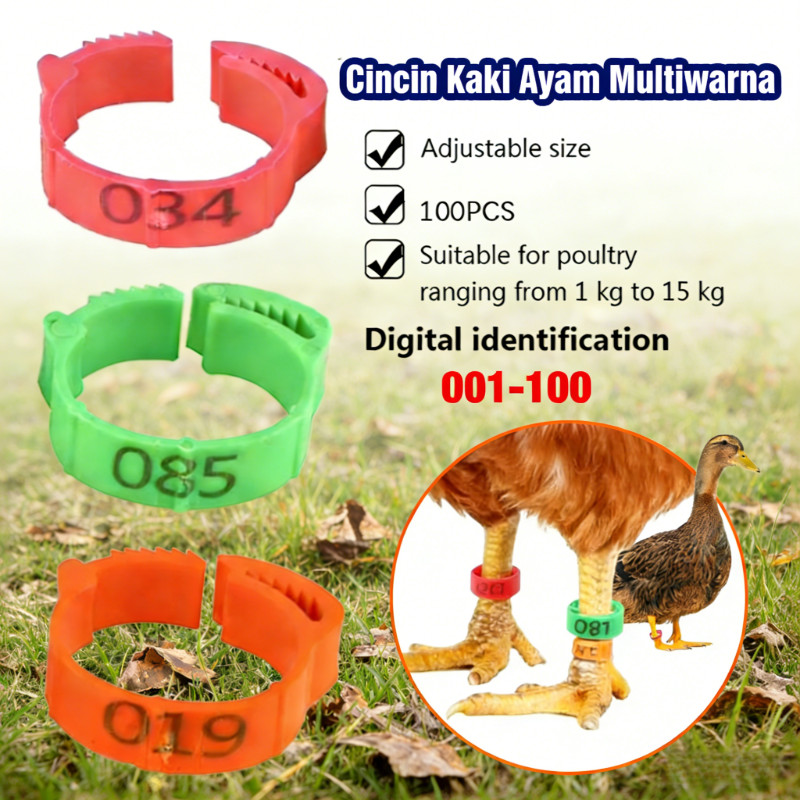 100pcs Plastik Cincin Kaki Unggas Bernomor Warna Warna Dapat Disesuaikan untuk Bebek Ayam Angsa Puyu