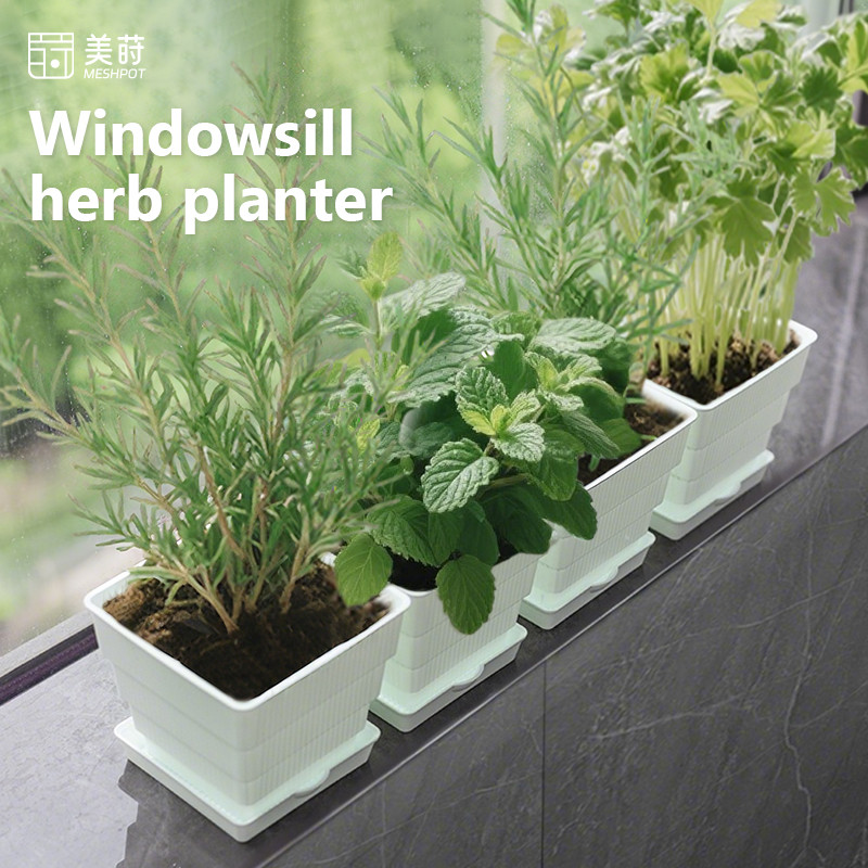 Meshpot Windowsill Herb Planter Herb Garden Planter Indoor Perfect for Any Kitchen Countertop Garden