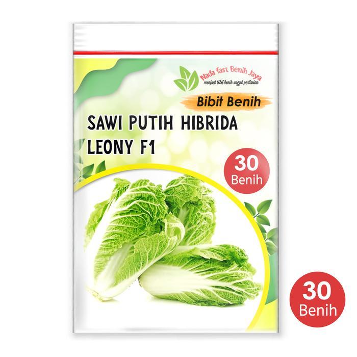 30 biji benih bibit sawi putih - Bibit Sayuran Slobor - Sawi putih