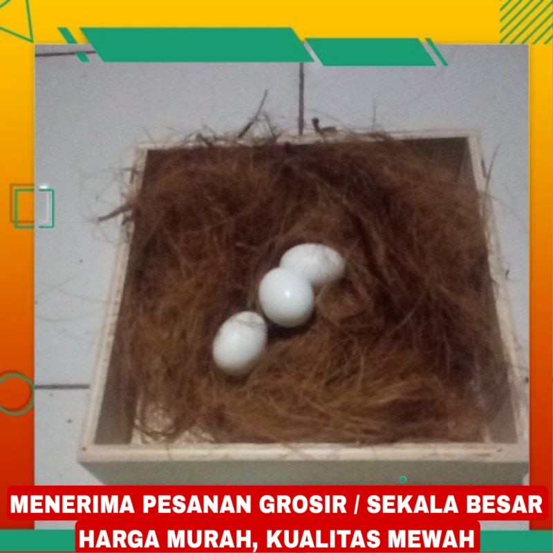 Sepaket Tempat Bertelur Sarang Burung Merpati Dekukur Puter Perkutut Kotak Serat Kelapa