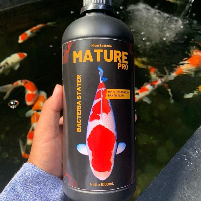 1 Liter Mature Pro Bakteri Stater Nitrobacter ikan Koi dan untuk Semua Jenis Ikan Air Tawar. Penjern