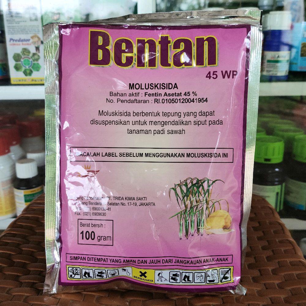 BENTAN 60 WP – Solusi Ampuh Pembasmi Siput