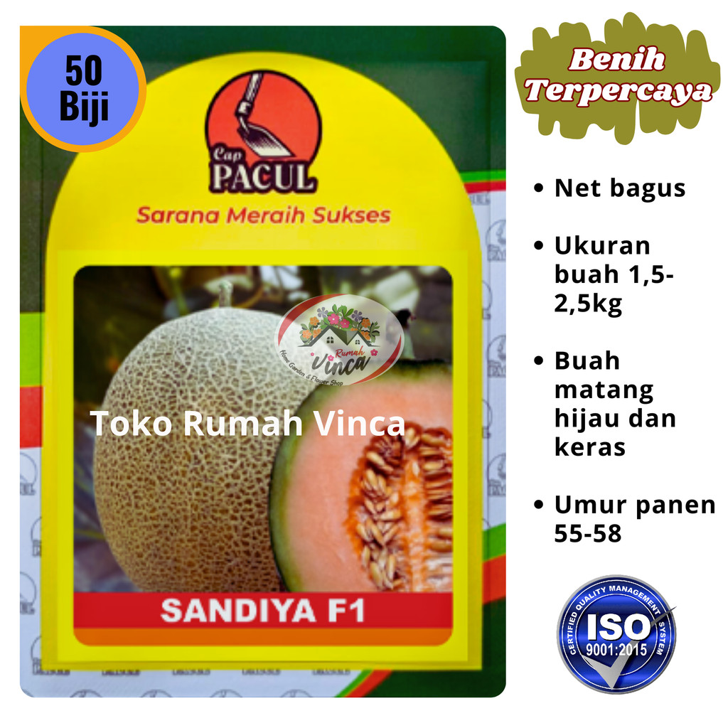 Benih Bibit Rock Melon Cantalope Orange Tahan Virus SANDIYA F1 50 biji Cap Pacul Kujang
