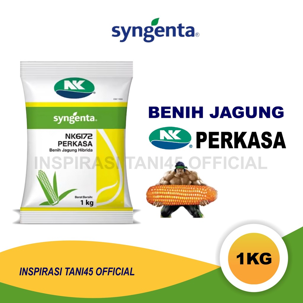 NK Pekasa 1 kg/Benih Jagung Hibrida NK 6172 Perkasa 1 Kg / Benih Jagung NK PERKASA 1 Kg/Bibit Jagung