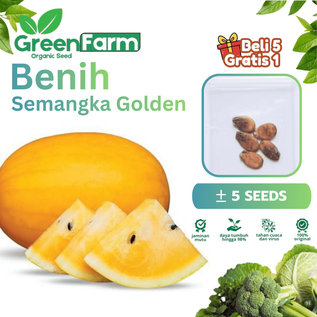 5 Biji - Benih Semangka Kuning Golden INDEN F1 - Bibit Buah