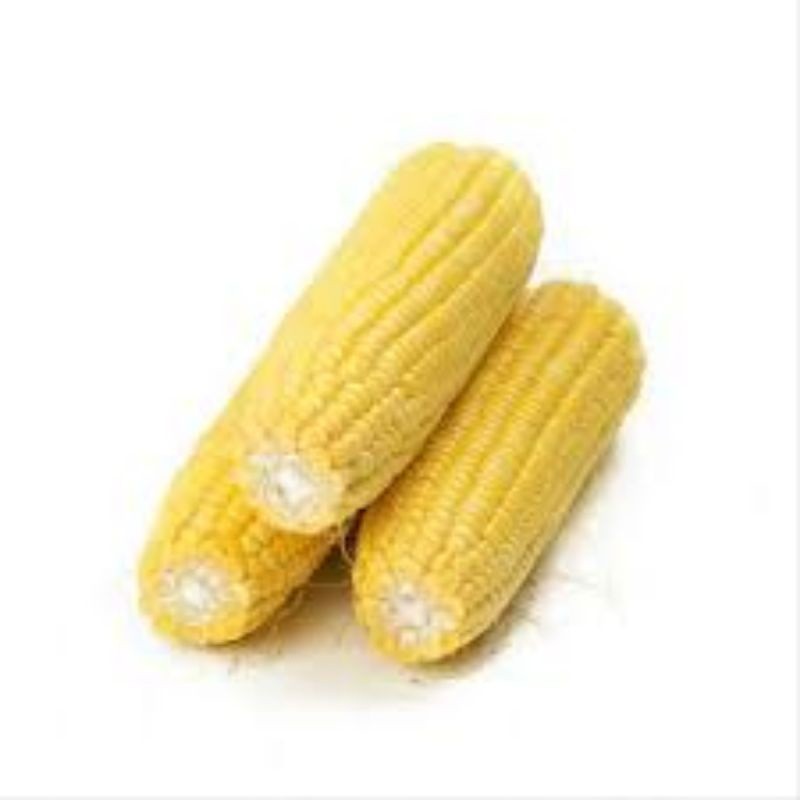 Jagung Manis Utuh Kupas Segar 1 Kg