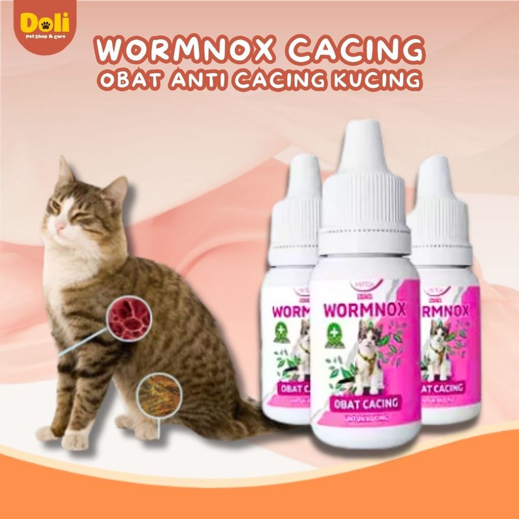Obat Cacingan Wormnox Venox Obat Kucing Anti Cacing Ampuh Pembasmi Cacing Kitten Dewasa Cat Worm