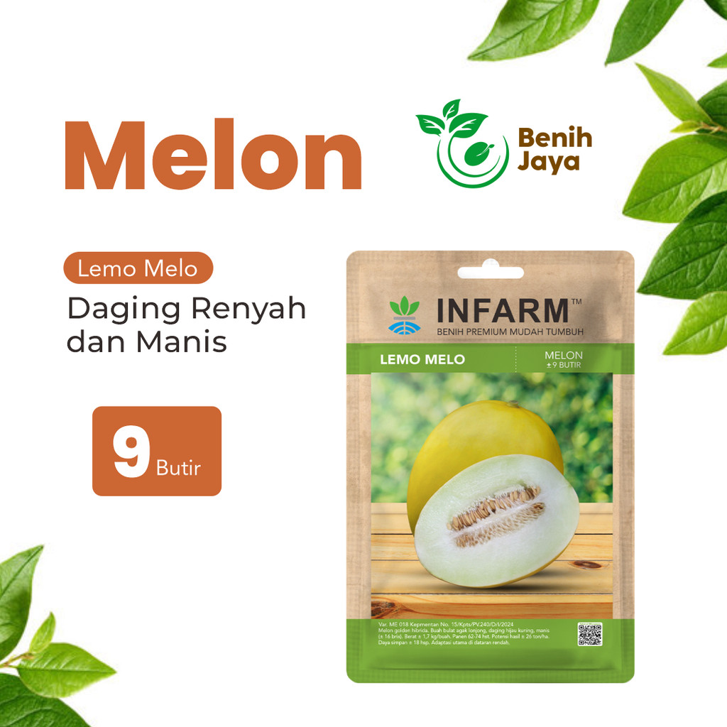 BENIH JAYA - Benih Melon Lemomelo Unggul, Bibit Buah Melon Golden Super Bibit Buah Melon Berkualitas