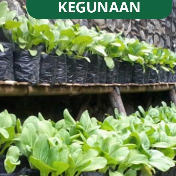 POLIBAG/ Polybag 1 Kg, 10x15 15X15 20×20 25×25 30×30CM 40x40 - 10x15 [Terlaris]