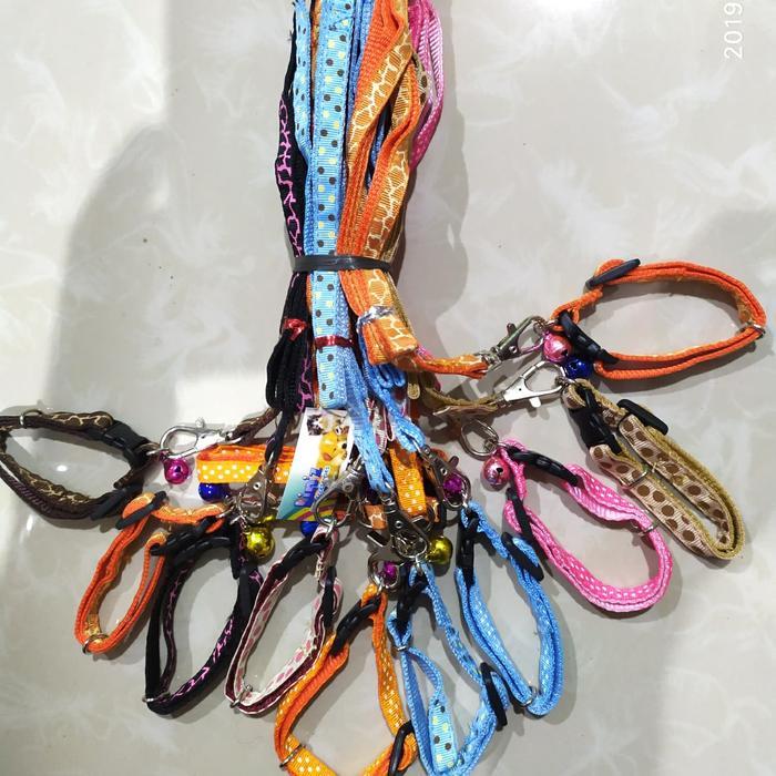 Kalung Tali Kucing Anjing Mini - Harnes Tali Kalung Kucing Anjing Mini