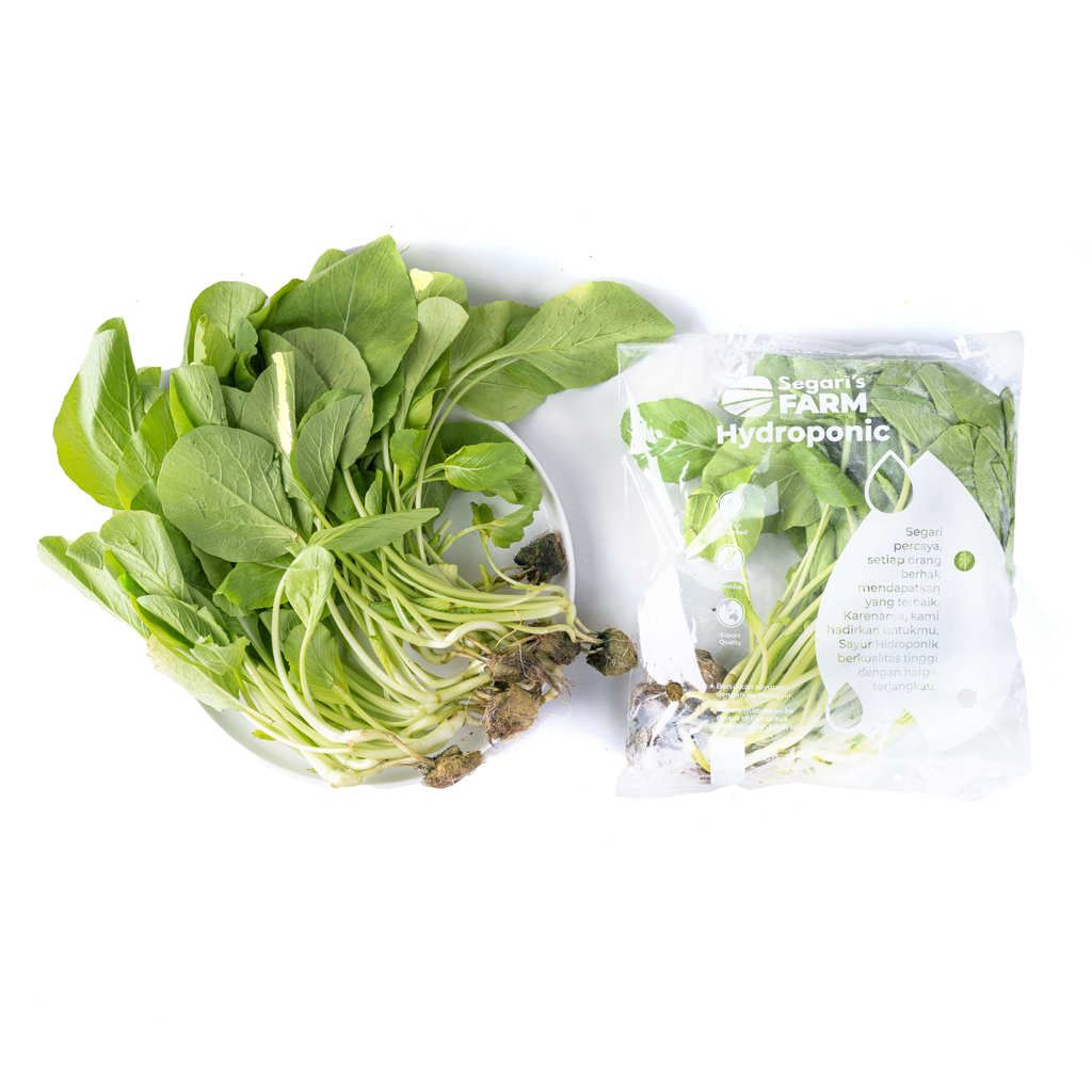 Baby Caisim Hidroponik Segari  (250 gram / pack)