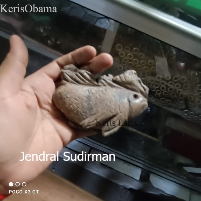 fosil ikan ori Murah Meriah JD61 murah KL8