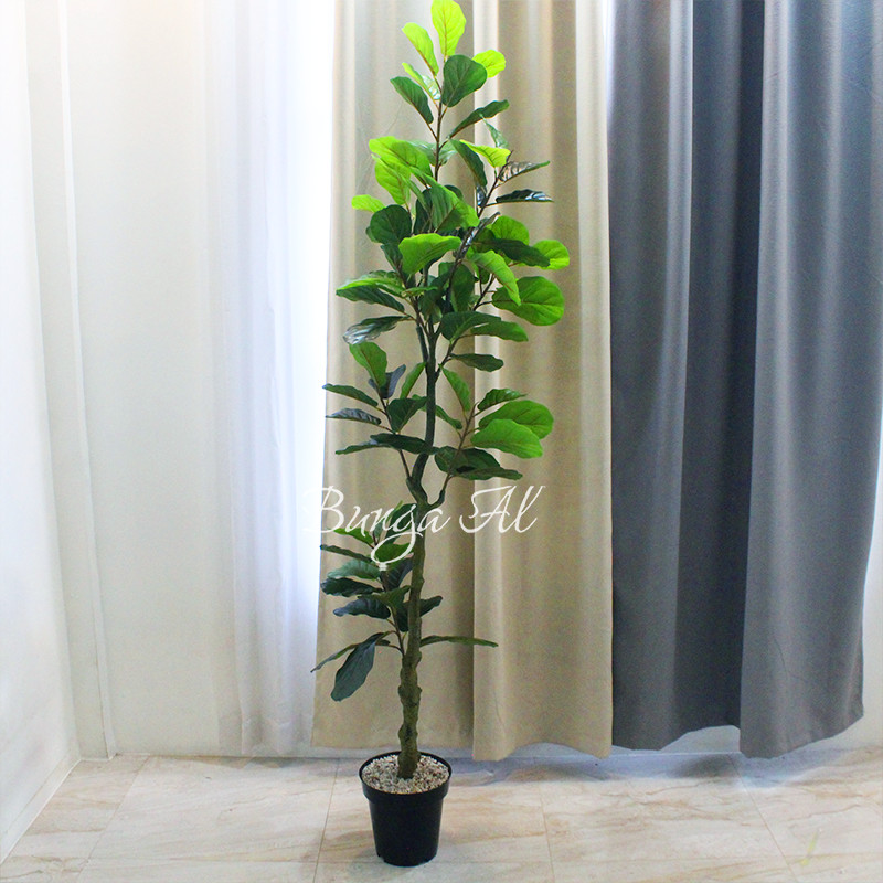 1 PAKET POHON ARTIFICIAL KETAPANG BESAR TINGGI 2,2 METER  RB6124 KARET KEBO POHON PLASTIK DAUN SINTE