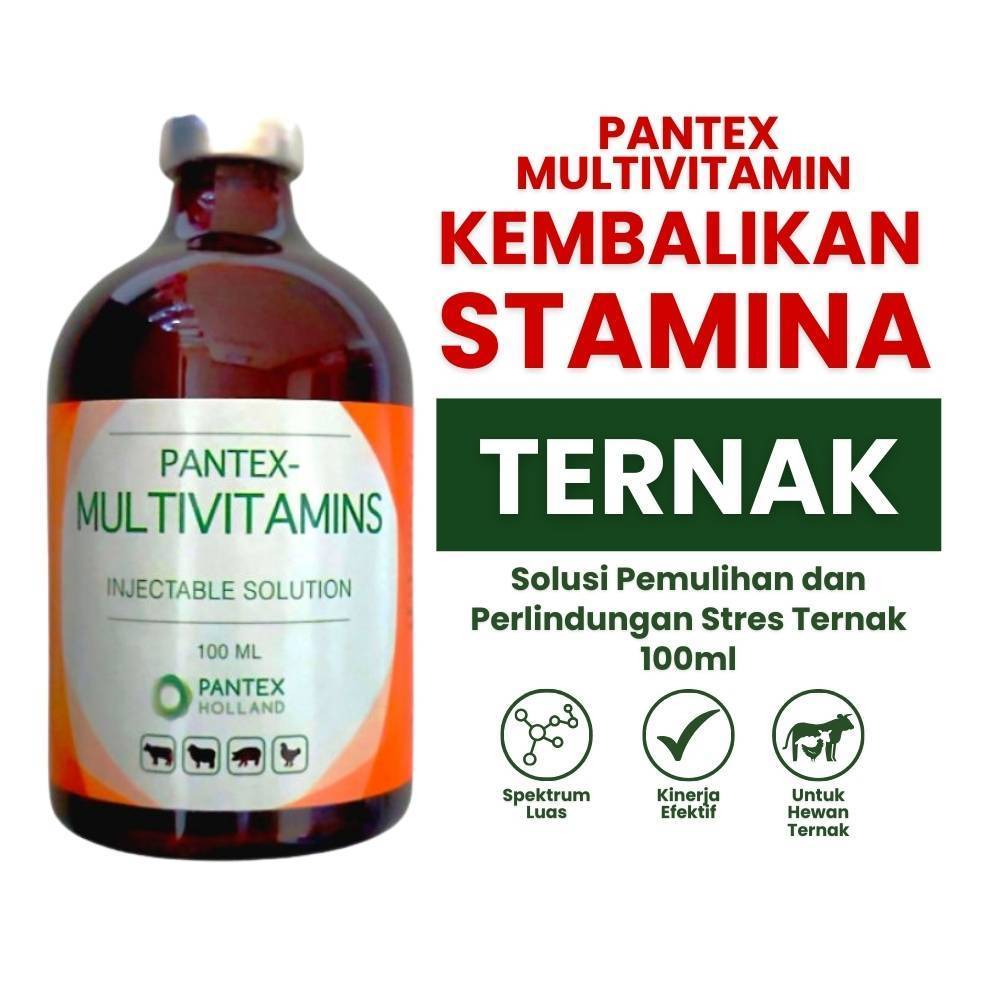 (Burqyu) Obat -Pantex Multivitamin 100 ml - Multivitamin Pantex - Multivitamin Injeksi - Injeksi Mul