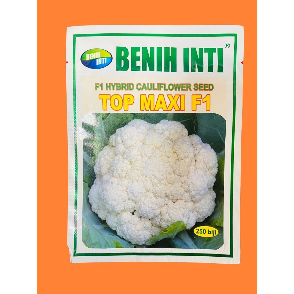 Benih Cauliflower F1 TOP MAXI isi 10gr PT DINASTY INTI AGRO SARANA