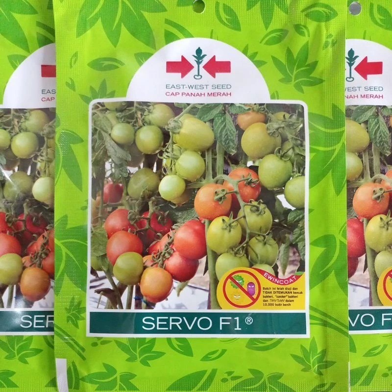 Benih Tomat SERVO F1 1750 Butir ( Original ) Cap Panah Merah / Bibit Tomat SERVO F1 1750 Biji Origin