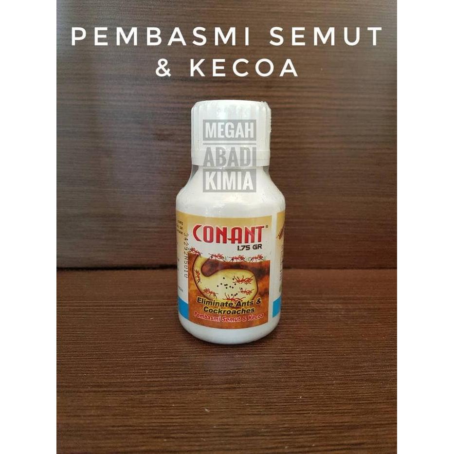 Conant racun semut dan kecoa