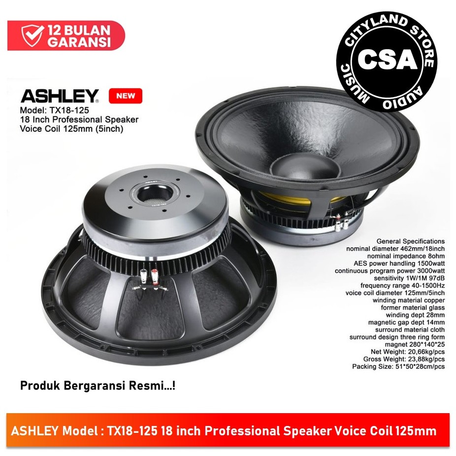 Ashley Speaker Component TX18-125 18 inch Original