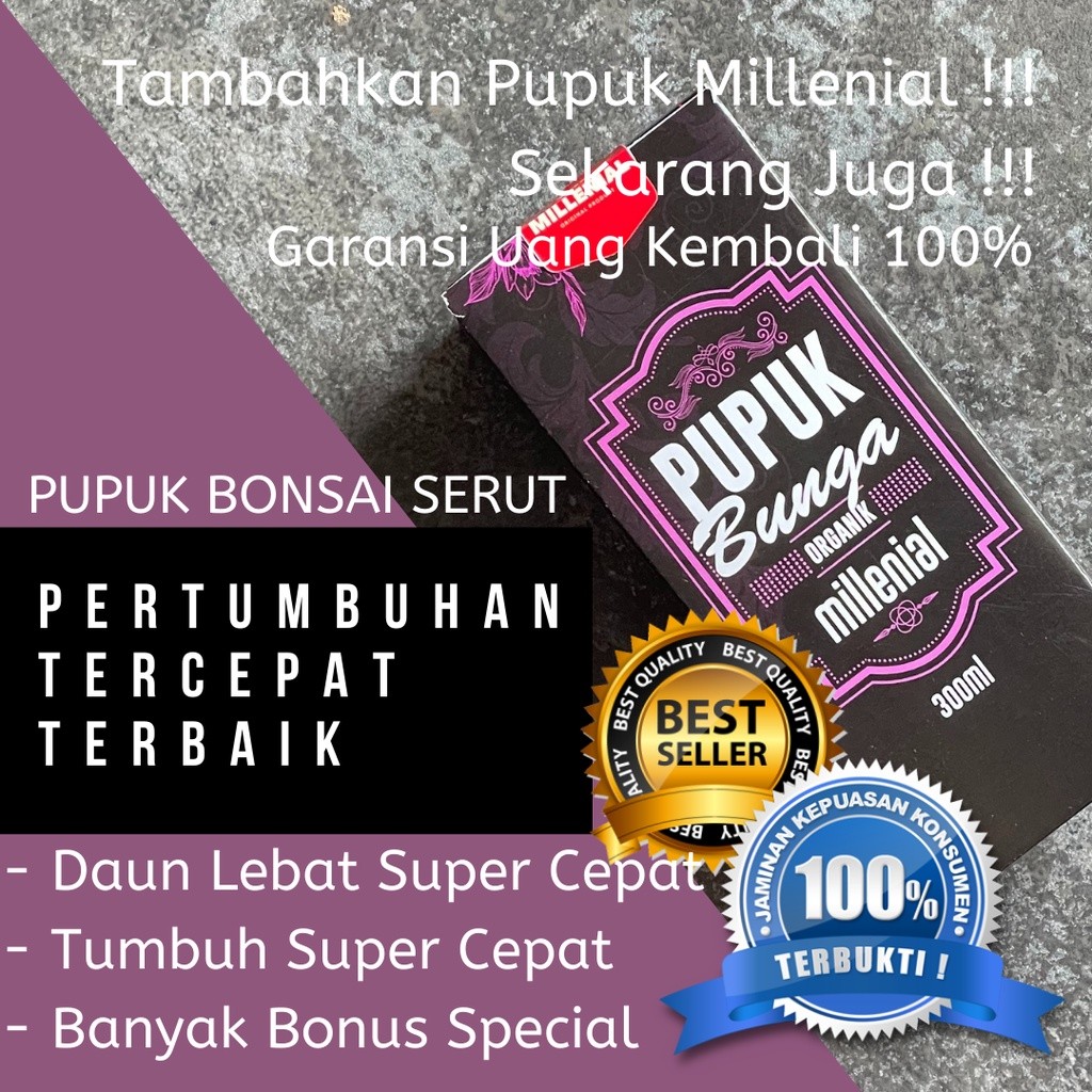 Pupuk Bonsai Serut,Pupuk Buat Bonsai Serut,Pupuk Untuk Bonsai Serut,Pupuk Alami Bonsai Serut,Pupuk Y