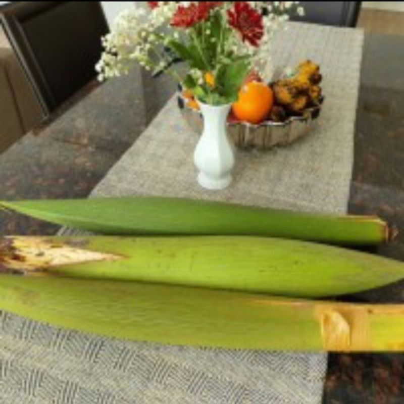 Manggar Kelapa Muda Utuh Segar Bahan Baku Gudeg/bonggol