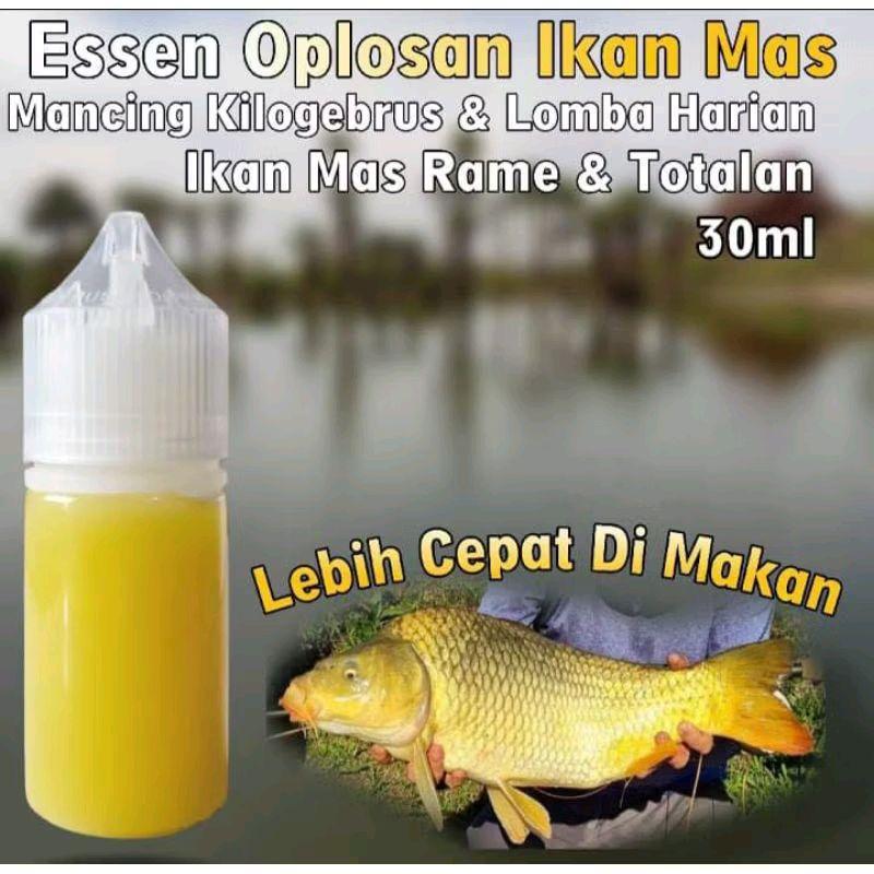 Bandung Mancing - Essen Ikan Mas Paling Gacor, Essen Ikan Mas Paling Ampuh, Essen Ikan Mas Indukan, 