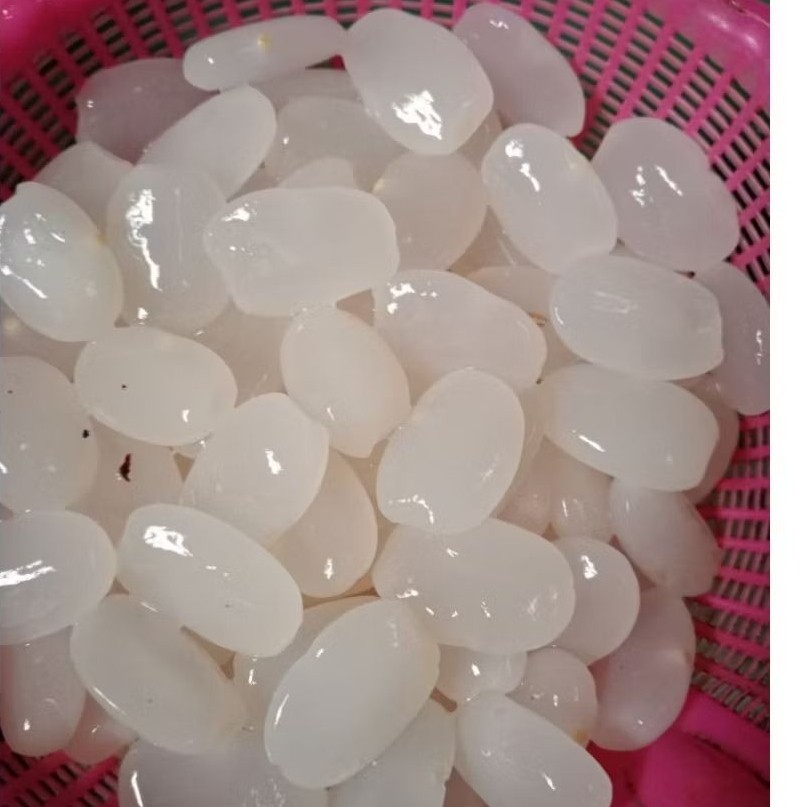 Blanja d sini Kolang Kaling muda Bahan manisan 500gr Kolang Kaling original dijamin murah