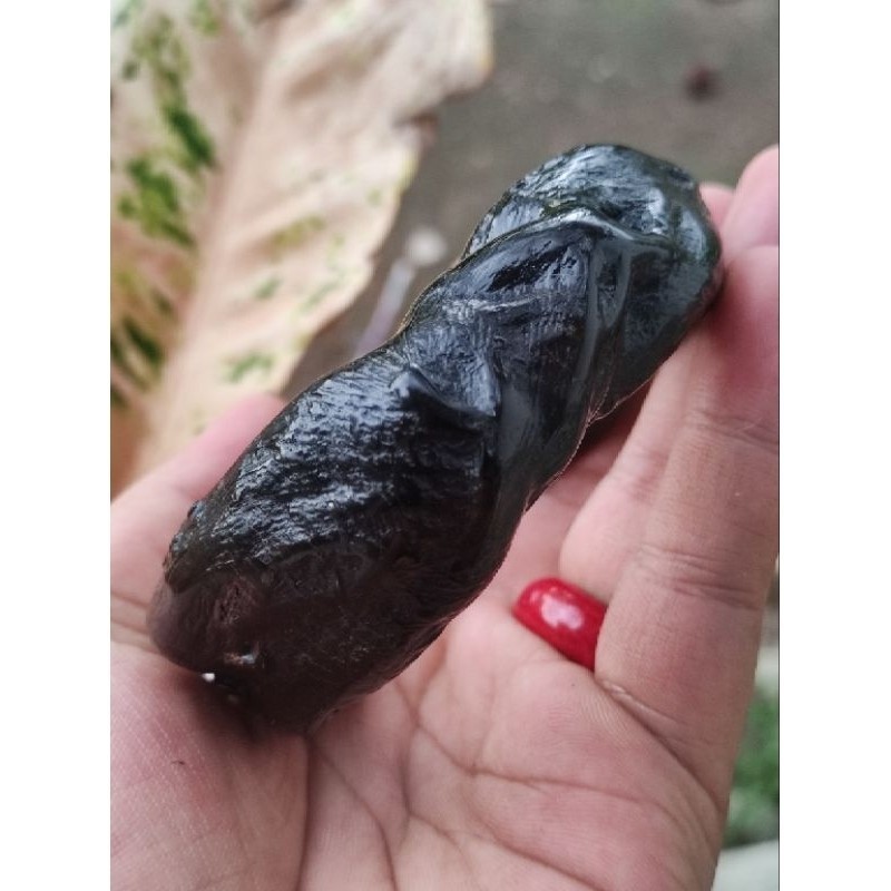 GELANG AKAR BAHAR HITAM JUMBO NGURAK VARIASI PERAK