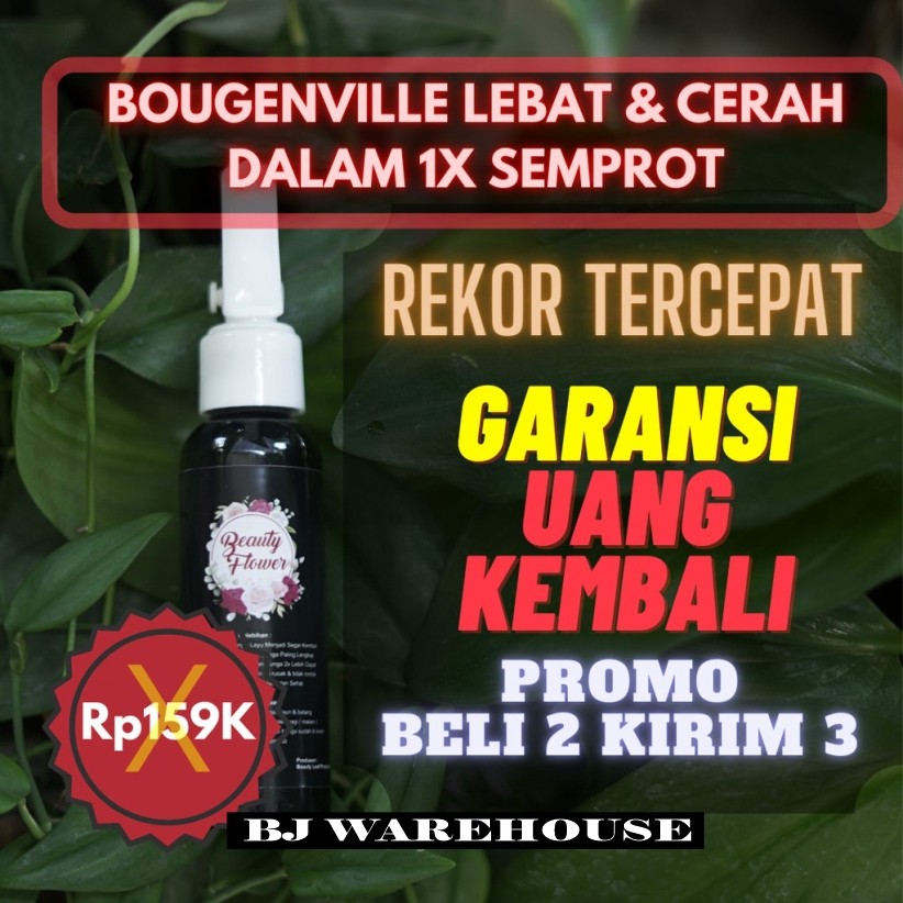 Pupuk Bougenville, Pupuk Bunga Bougenville, TERBAIK , REAKSI TERCEPAT 