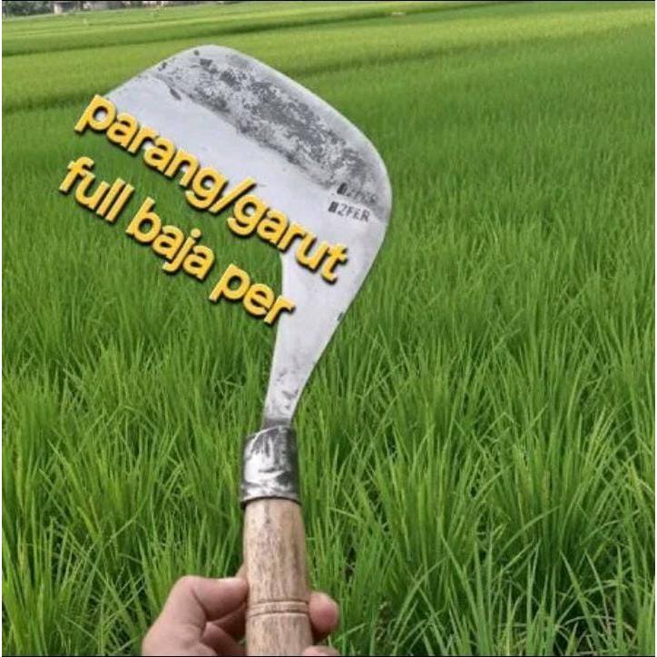 Parang Dewi Bintang Arit Babat Rumput Super Tajam Berkualitas