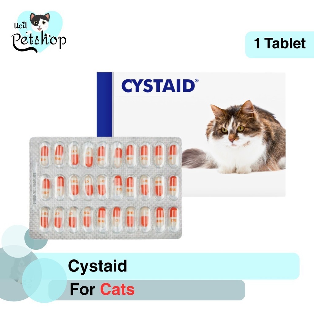CYSTAID - Cystaid Cat Plus For Urinary Tract / Obat Gangguan Saluran Kencing Kucing (Per Capsule / E