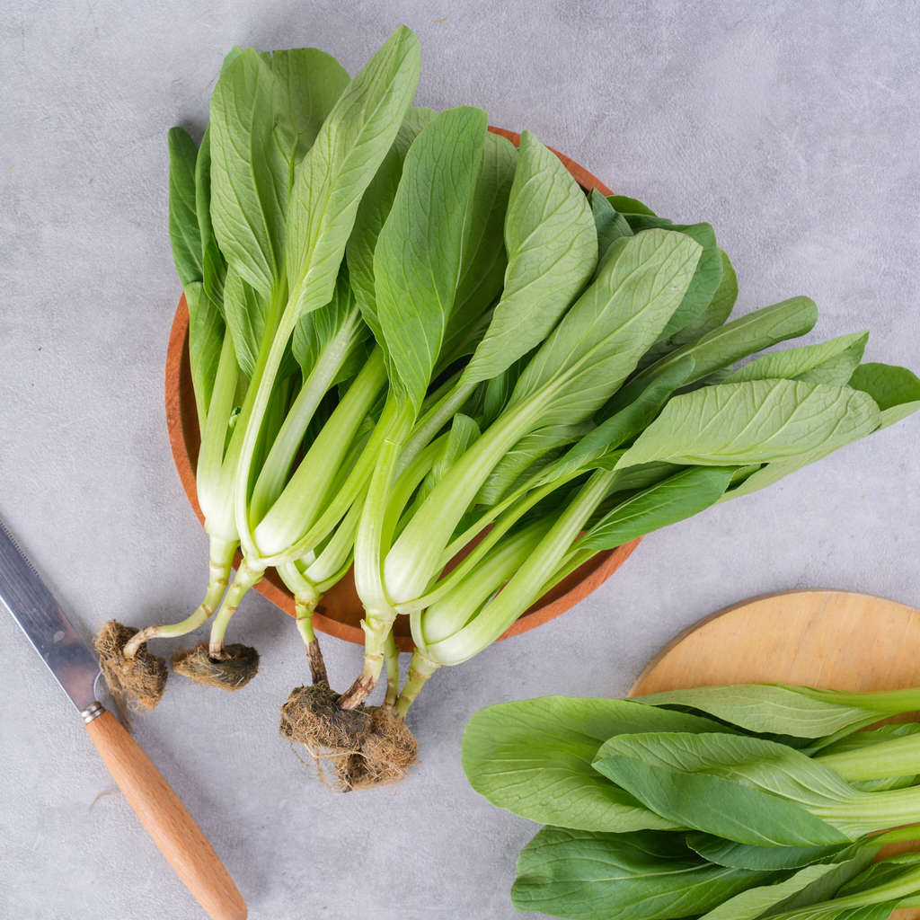 Pakcoy Hidroponik Segari  (250 gram / pack)