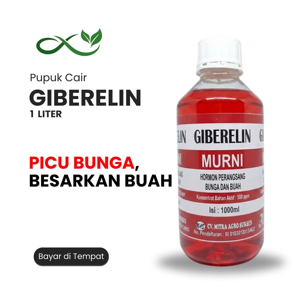 Giberelin 1L Pupuk Cair Hormon Bunga Buah Tanaman 500 ppm