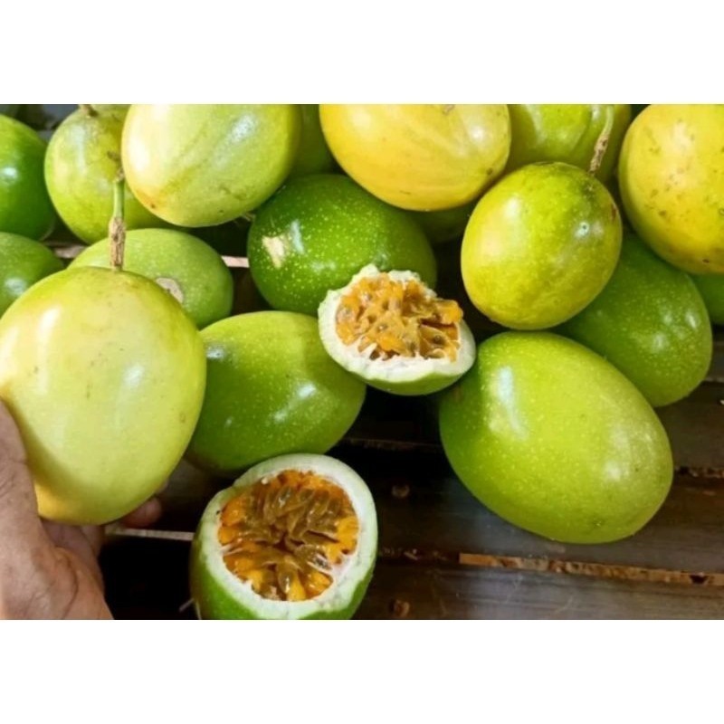 AL - markisa hutan 1 kg