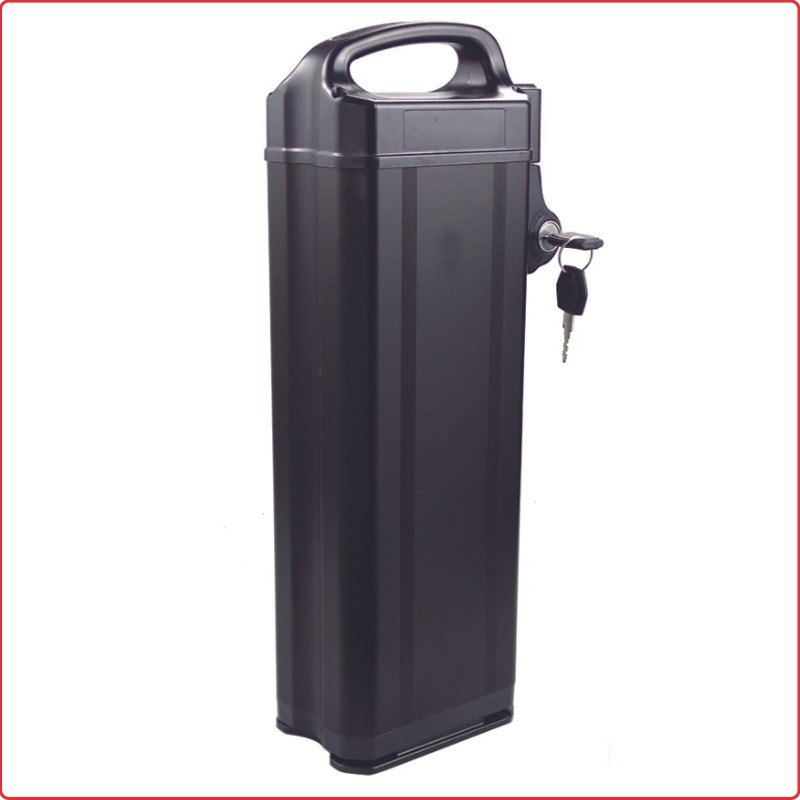 48V 25ah 30ah 40ah 50ah Electric Bicycle SilverFish Batteries Bafang 1500w Controller folng Bike Fii