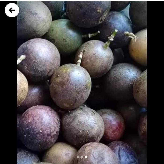 buah markisa utk sirup medan