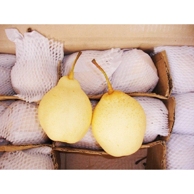 Buah Pear Yalie per kilogram