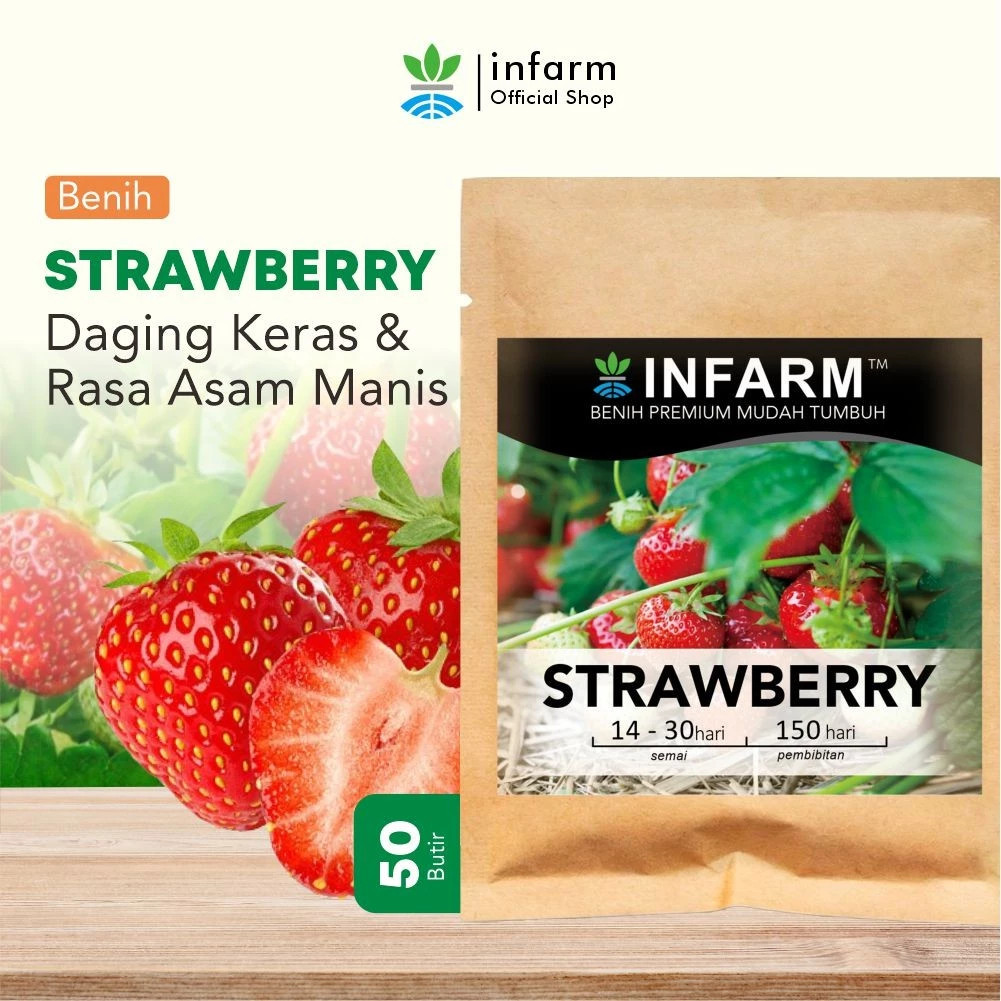 INFARM - Benih Bibit Biji Super Buah STRAWBERRY Stroberi (Red Giant Fragaria Ananassa)
