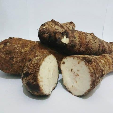 Umbi Talas ubi pulen 1kg tales gajah