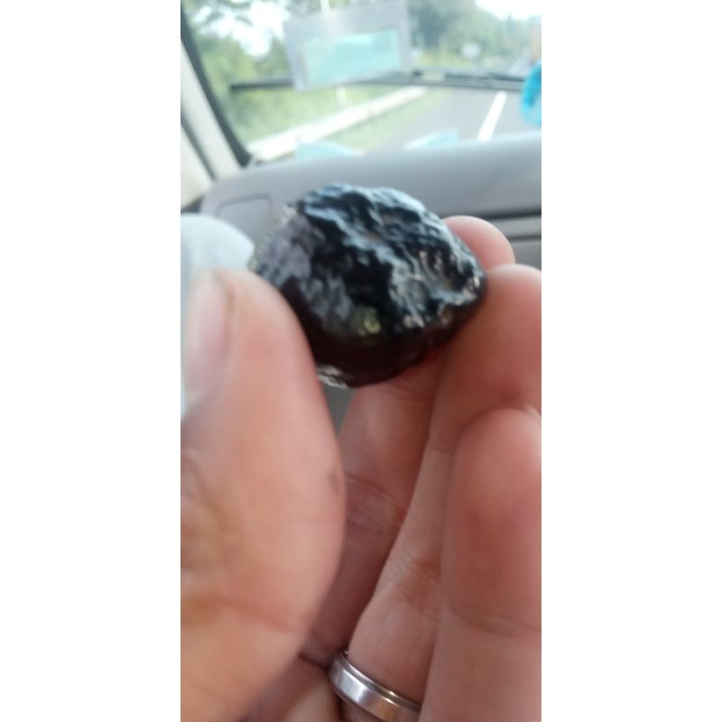 News Arrival Muncang adu jenis Yanti sagara raja batok kondisi matang