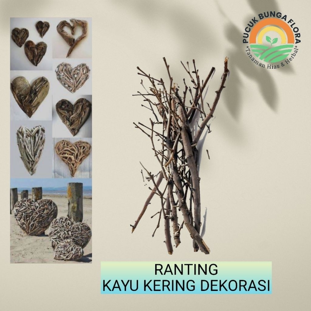 ranting kayu kering dekorasi alami ranting pohon kering ranting tanaman kering isi 12 pcs