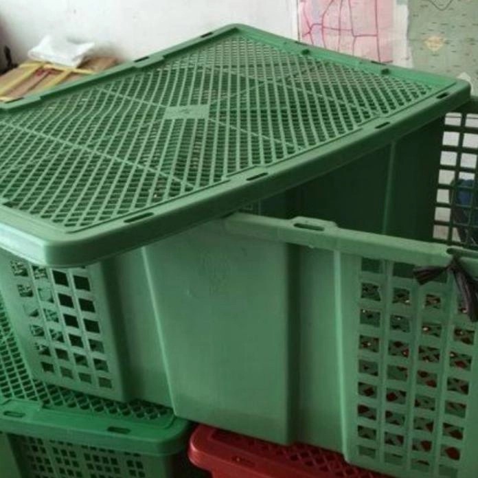 Keranjang Tempat Buah Sayur Ada Tutup Plastik Baru Krat Plastik Keranjang Klengkeng Baru BERKUALITAS