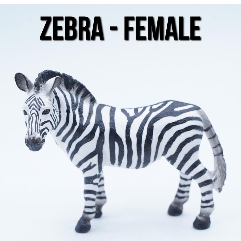 KORI ZEBRA Kuda Loreng Equus Quagga Mainan Figure Binatang Miniature Hewan Animal Figurine Pajangan 